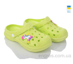 Кроксы Golden Lion